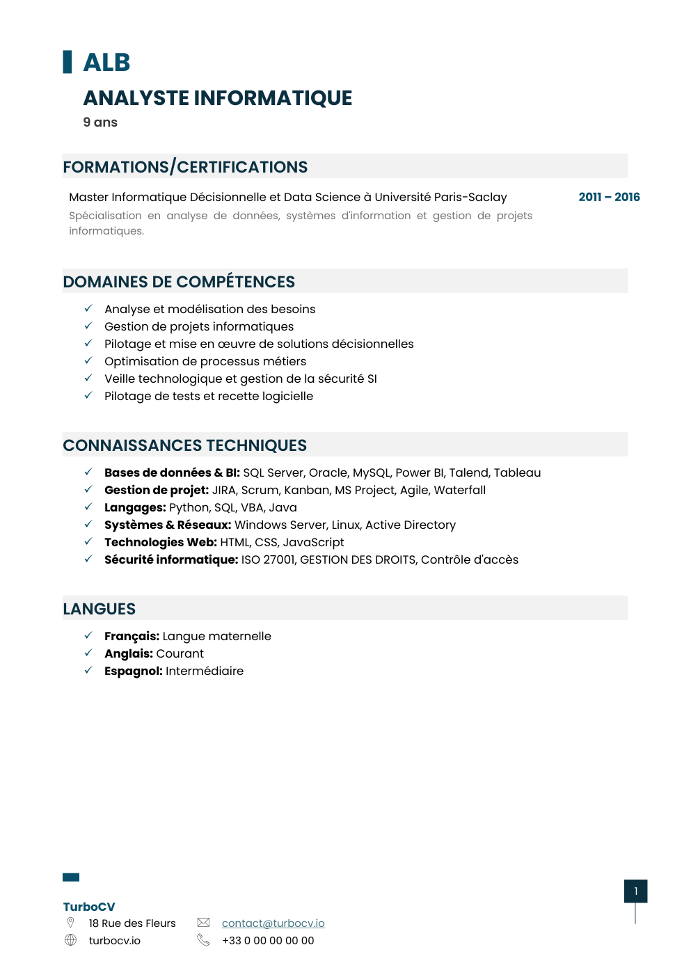Aperçu du dossier de compétences analyste-informatique-0.png