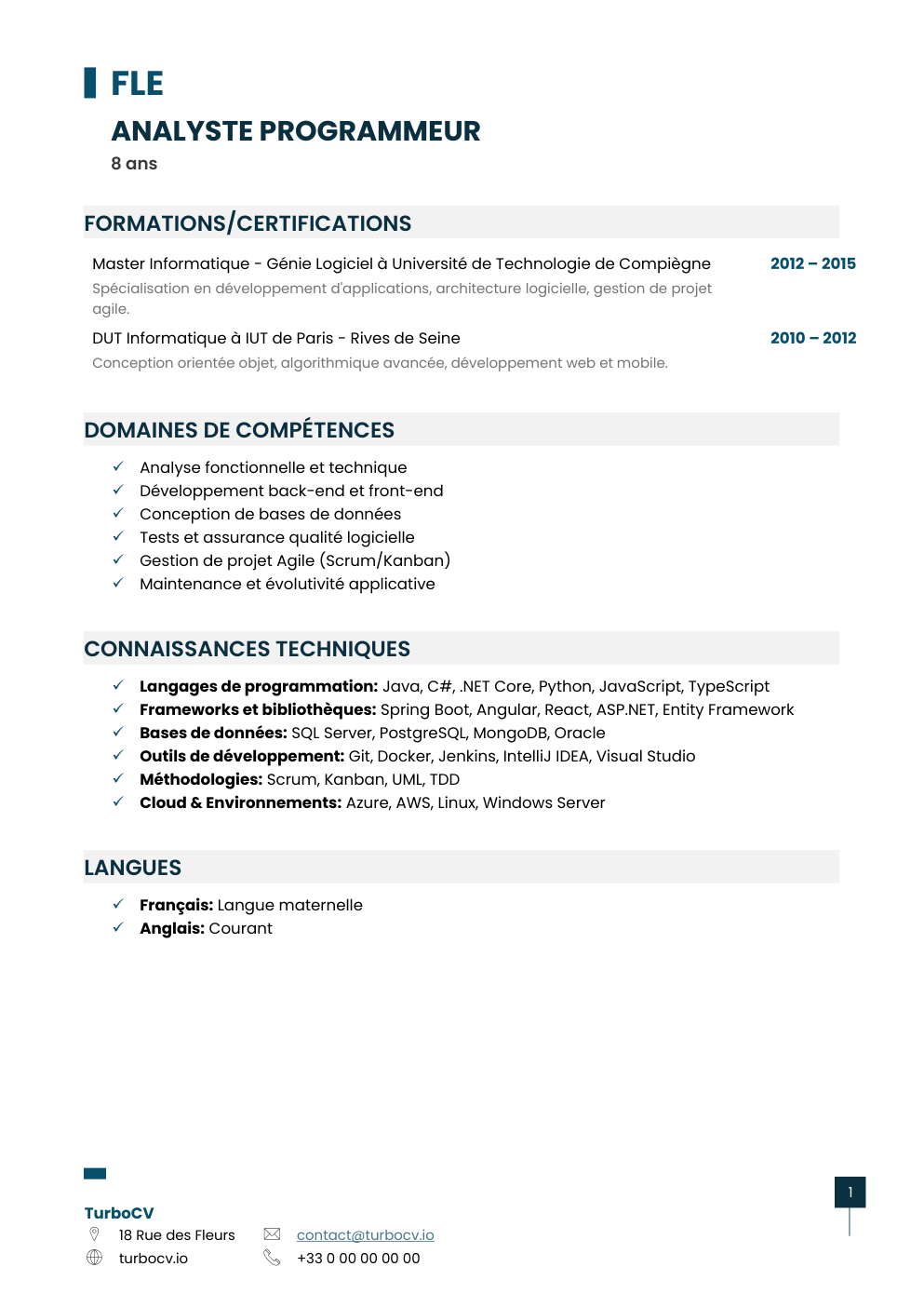 Aperçu du dossier de compétences analyste-programmeur-0.png