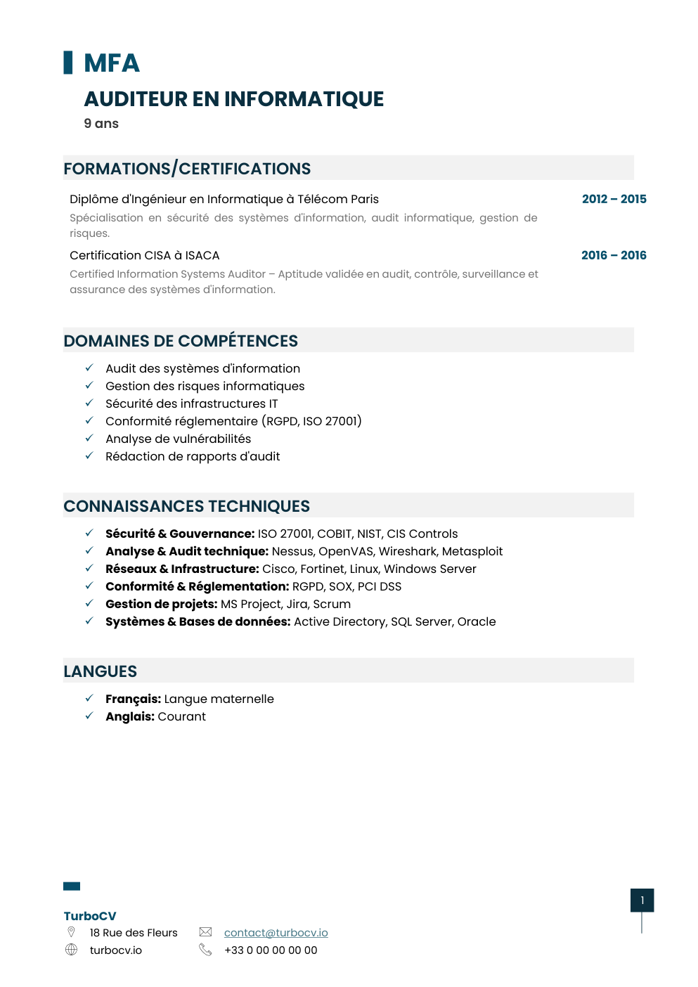 Aperçu du dossier de compétences auditeur-informatique-0.png