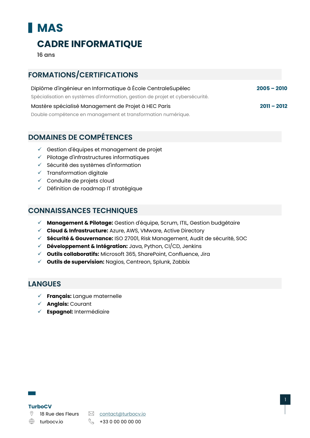 Aperçu du dossier de compétences cadre-informatique-0.png