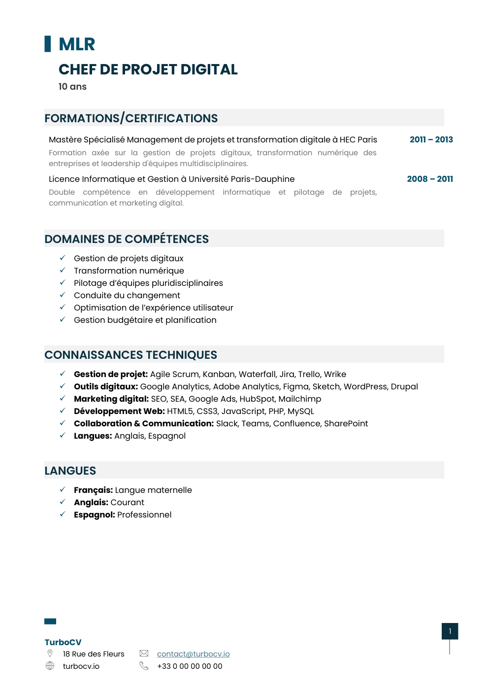 Aperçu du dossier de compétences chef-projet-digital-0.png