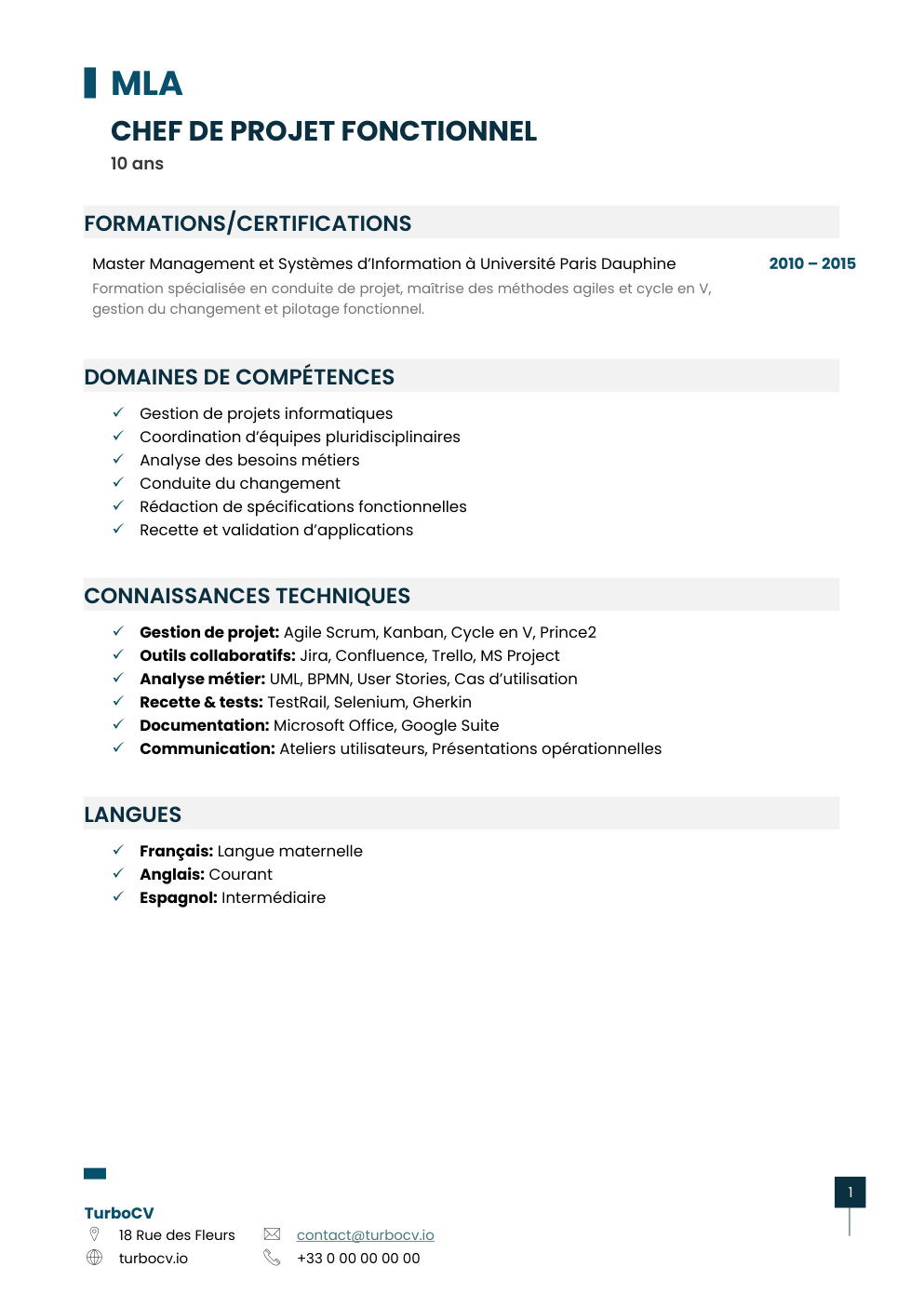 Aperçu du dossier de compétences chef-projet-fonctionnel-0.png