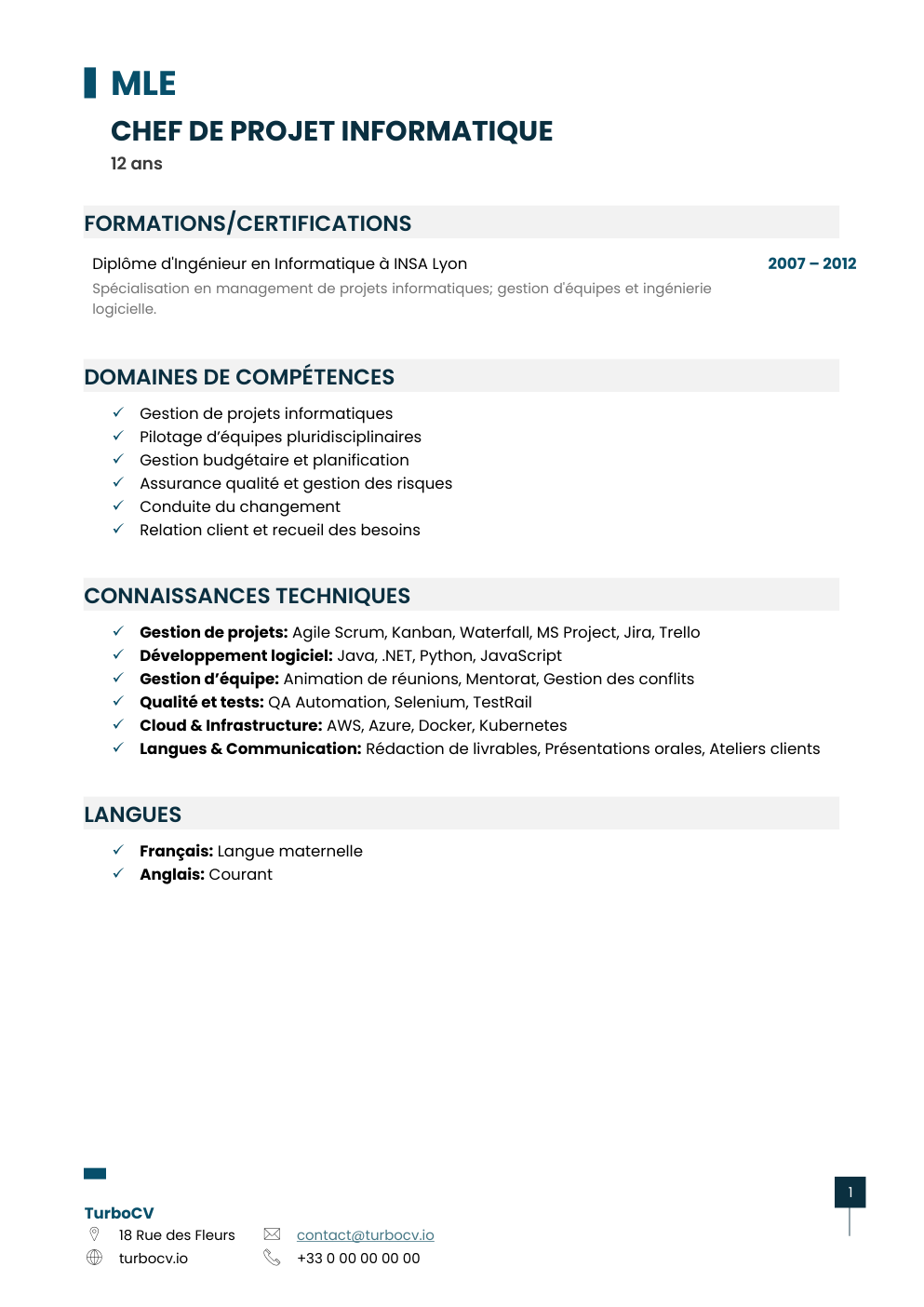 Aperçu du dossier de compétences chef-projet-informatique-0.png