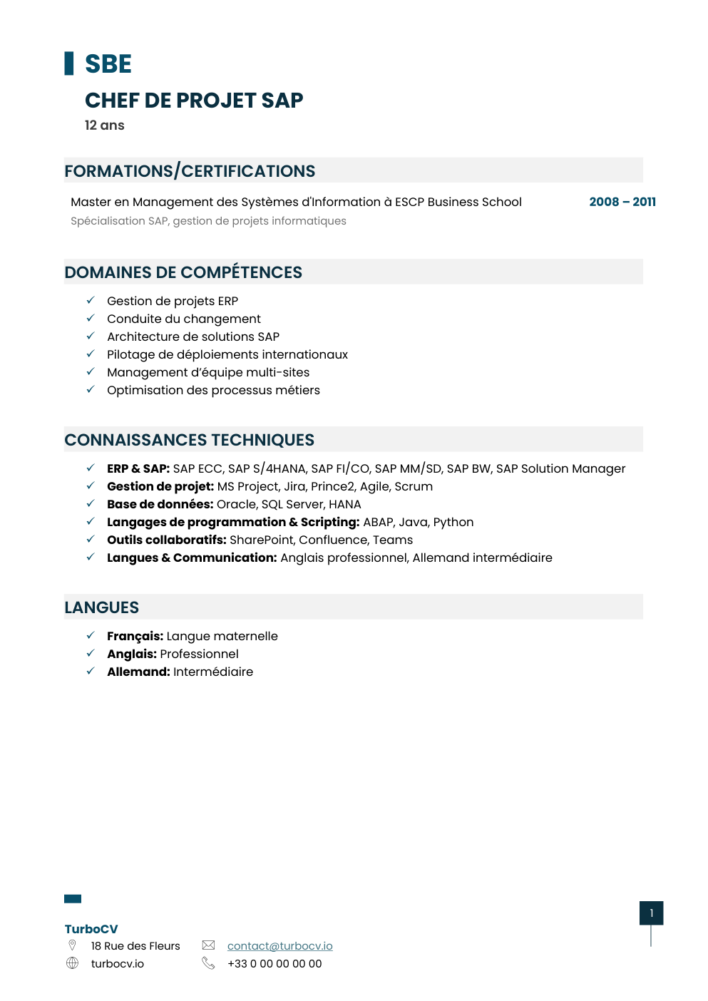 Aperçu du dossier de compétences chef-projet-sap-0.png