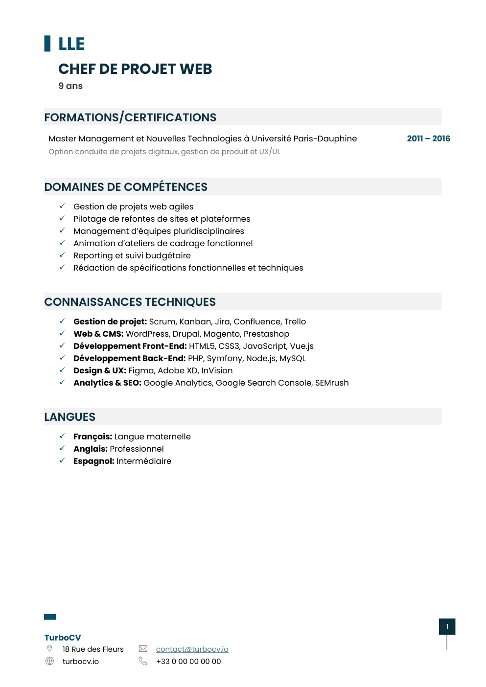 Aperçu du dossier de compétences chef-projet-web-0.png