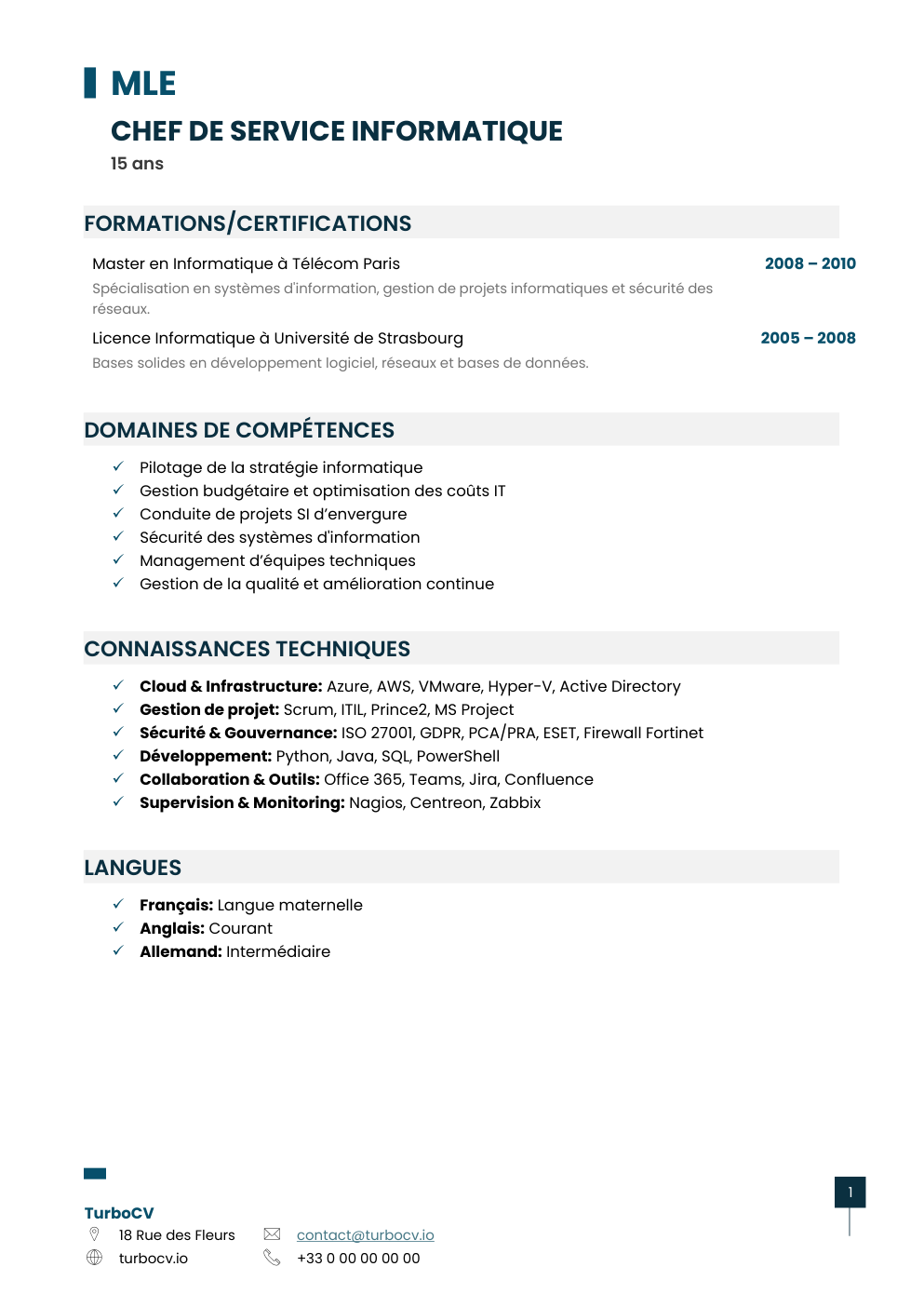 Aperçu du dossier de compétences chef-service-informatique-0.png