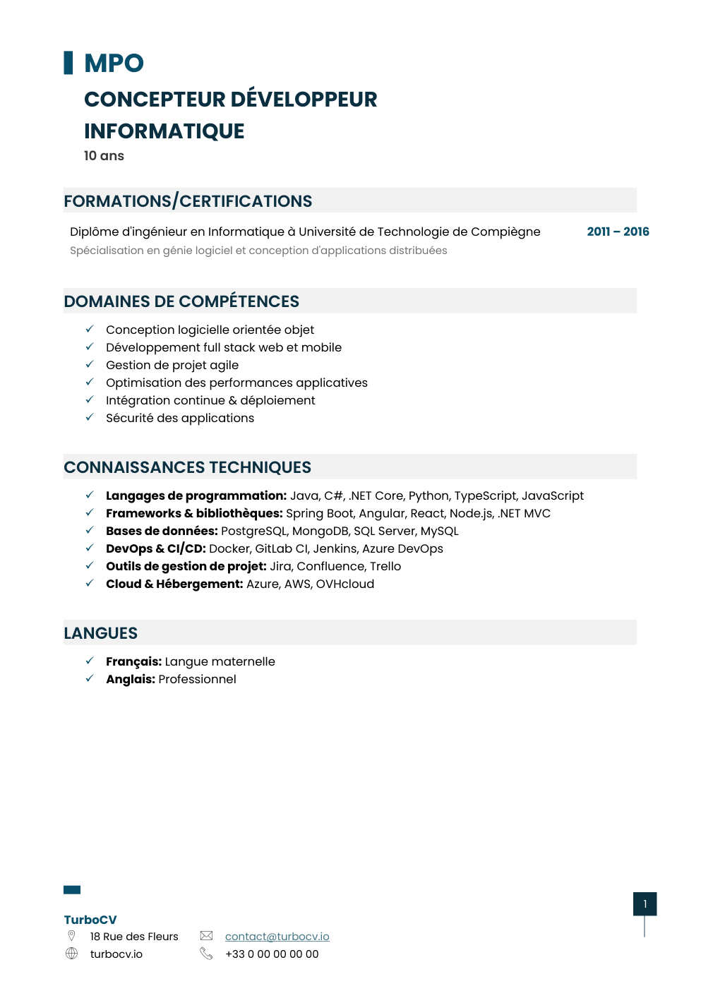 Aperçu du dossier de compétences concepteur-developpeur-informatique-0.png
