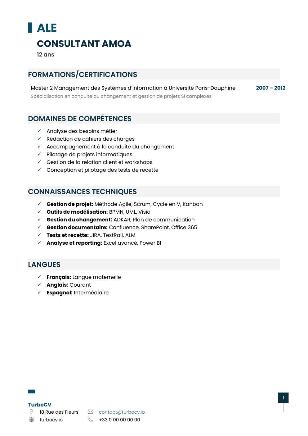 Aperçu du dossier de compétences consultant-amoa-0.png