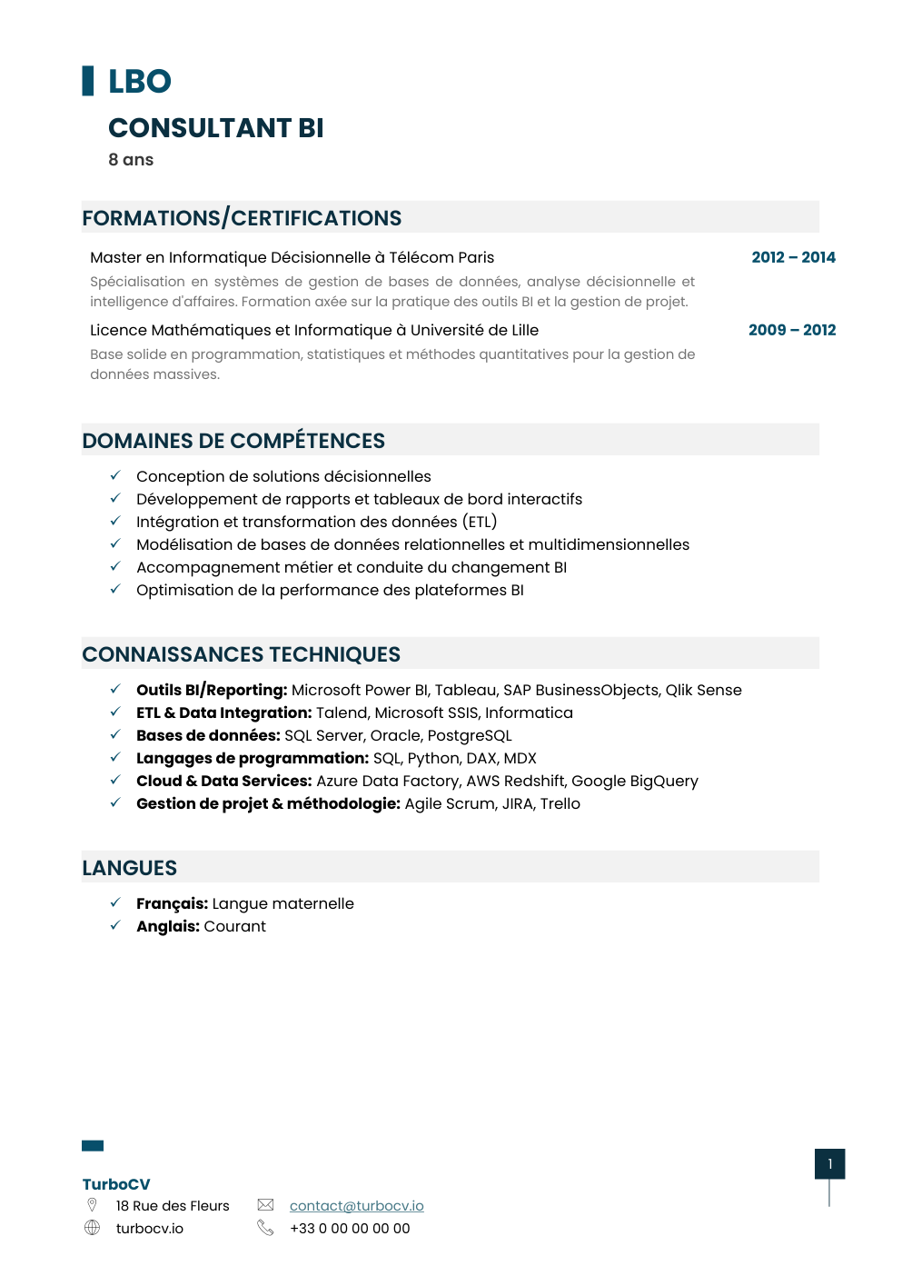 Aperçu du dossier de compétences consultant-bi-0.png