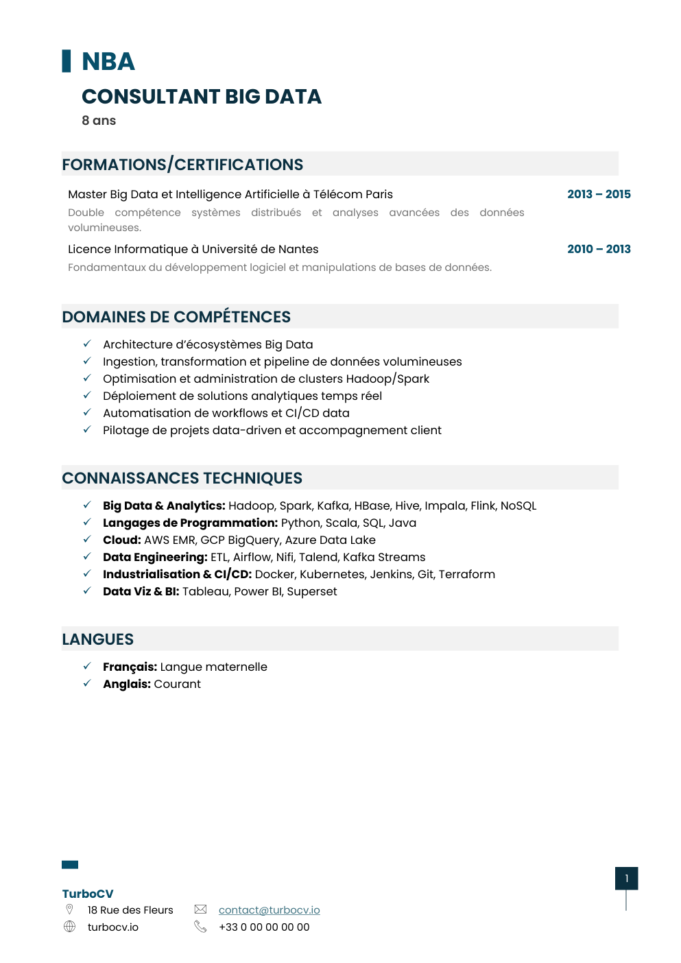 Aperçu du dossier de compétences consultant-big-data-0.png