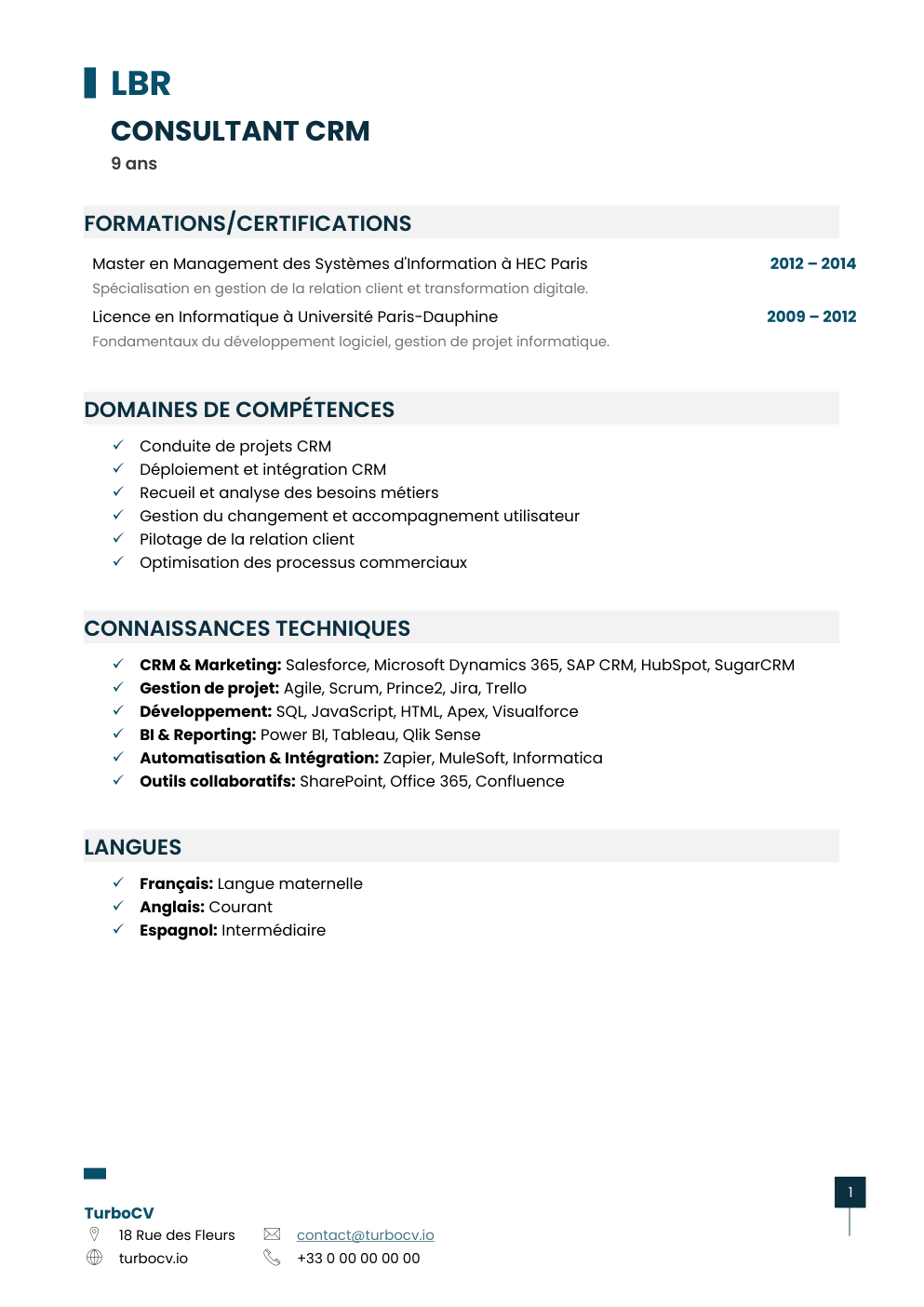 Aperçu du dossier de compétences consultant-crm-0.png