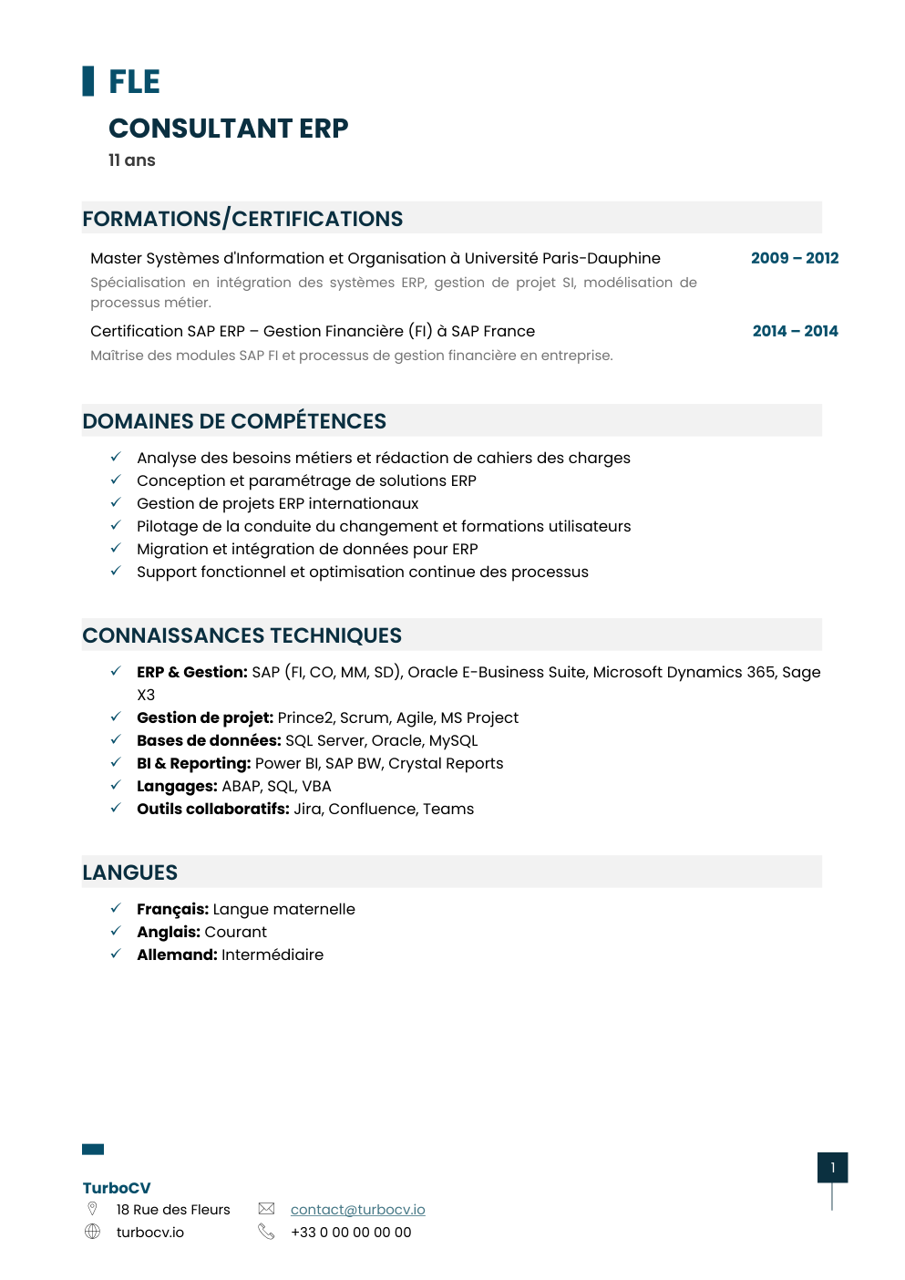 Aperçu du dossier de compétences consultant-erp-0.png