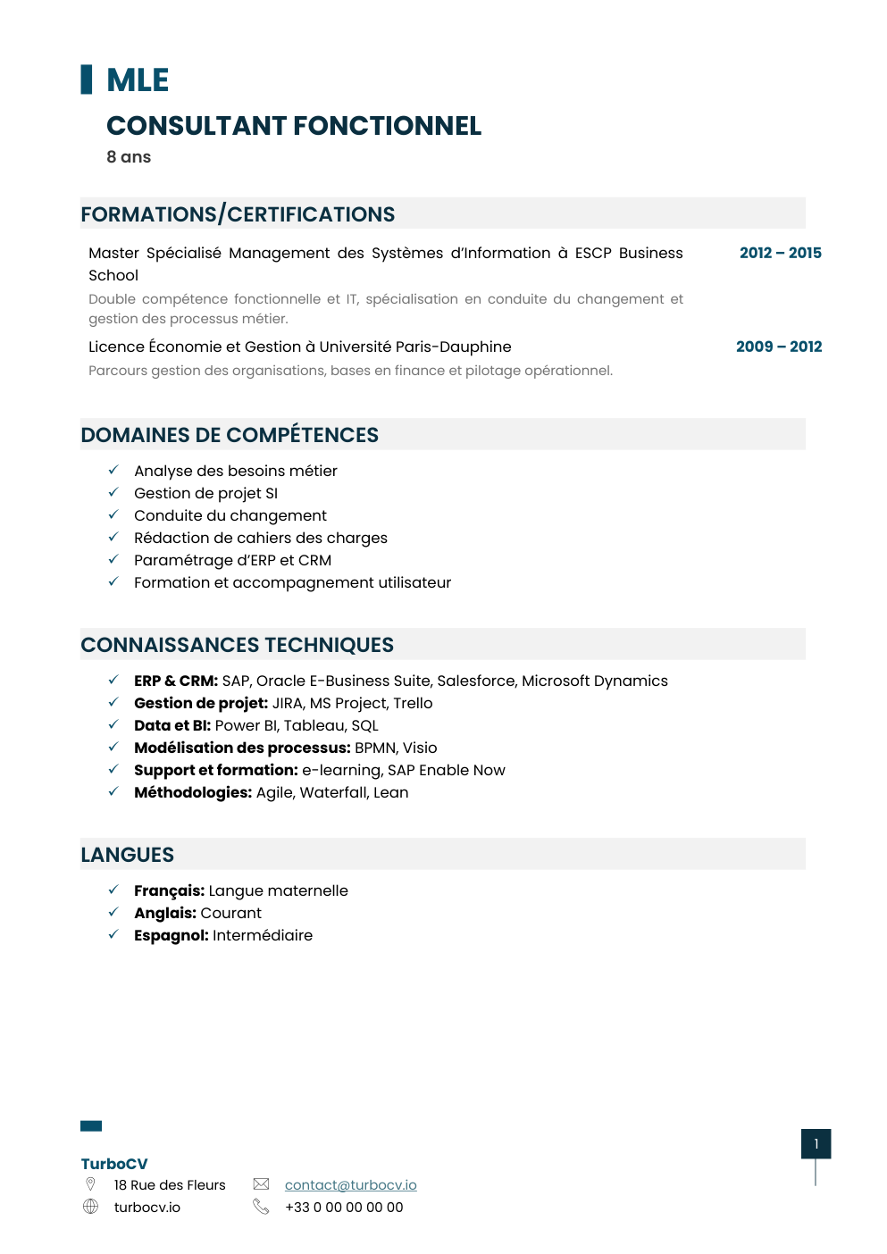 Aperçu du dossier de compétences consultant-fonctionnel-0.png