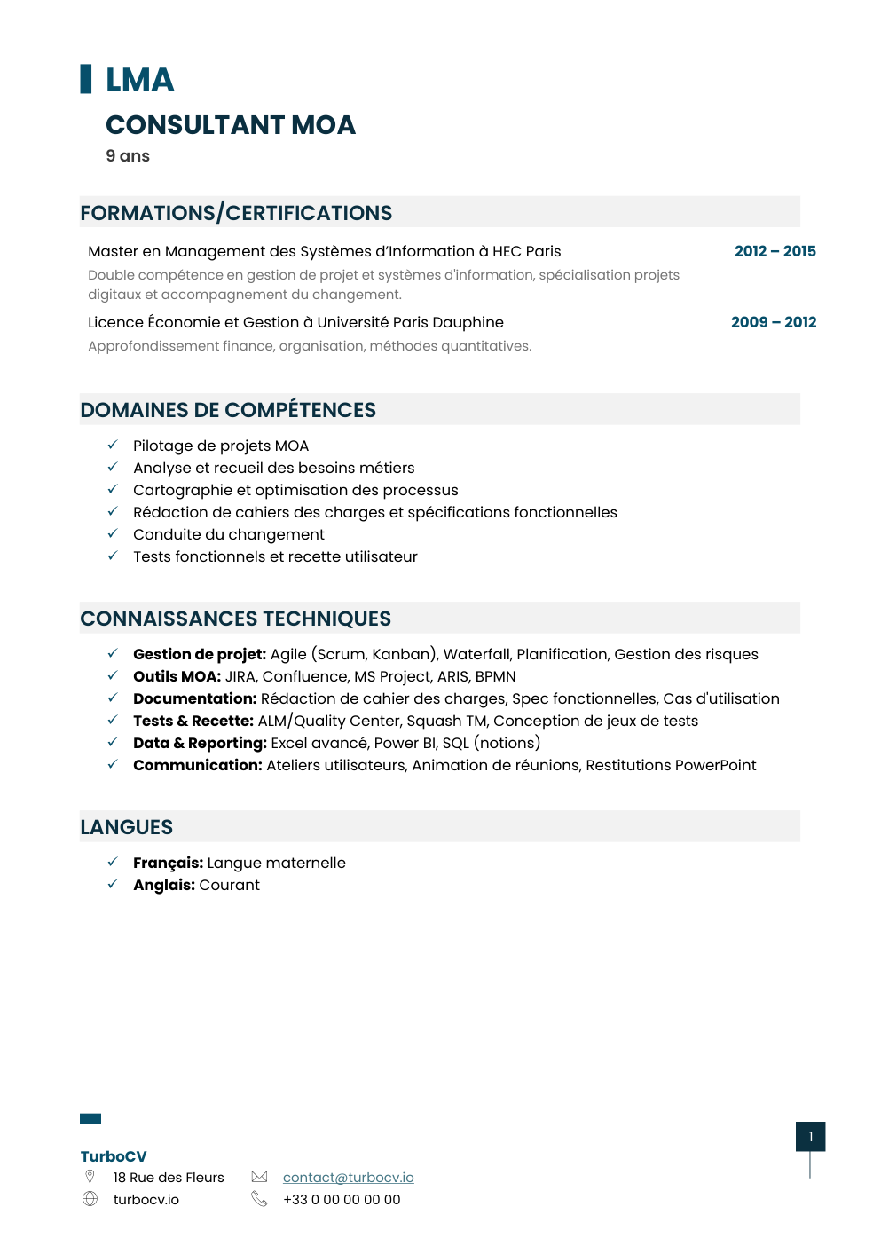 Aperçu du dossier de compétences consultant-moa-0.png