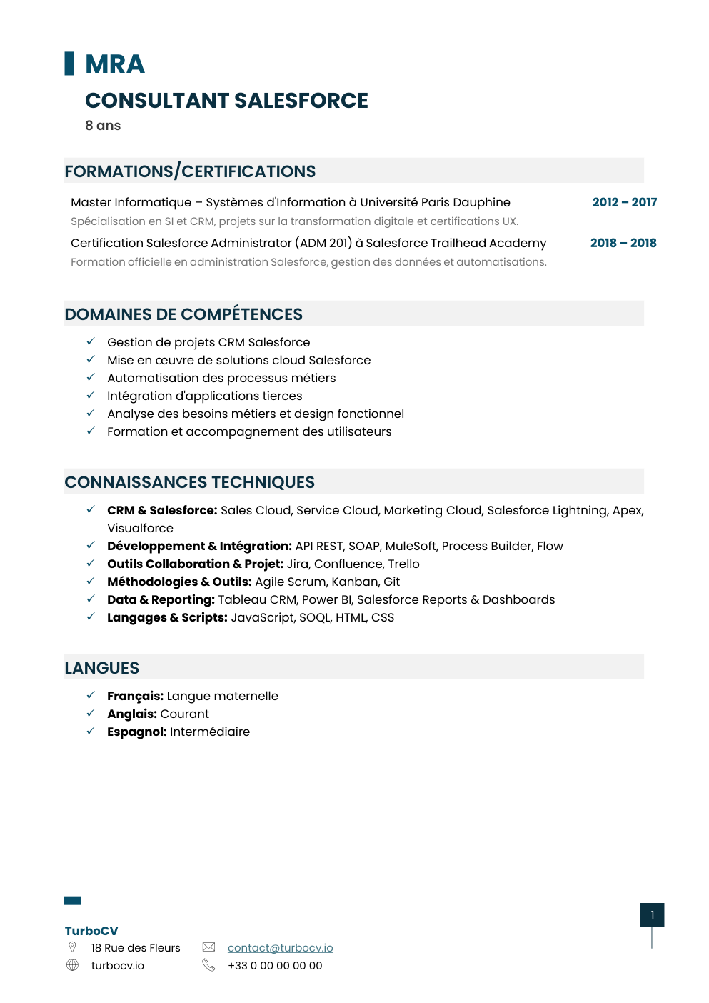 Aperçu du dossier de compétences consultant-salesforce-0.png