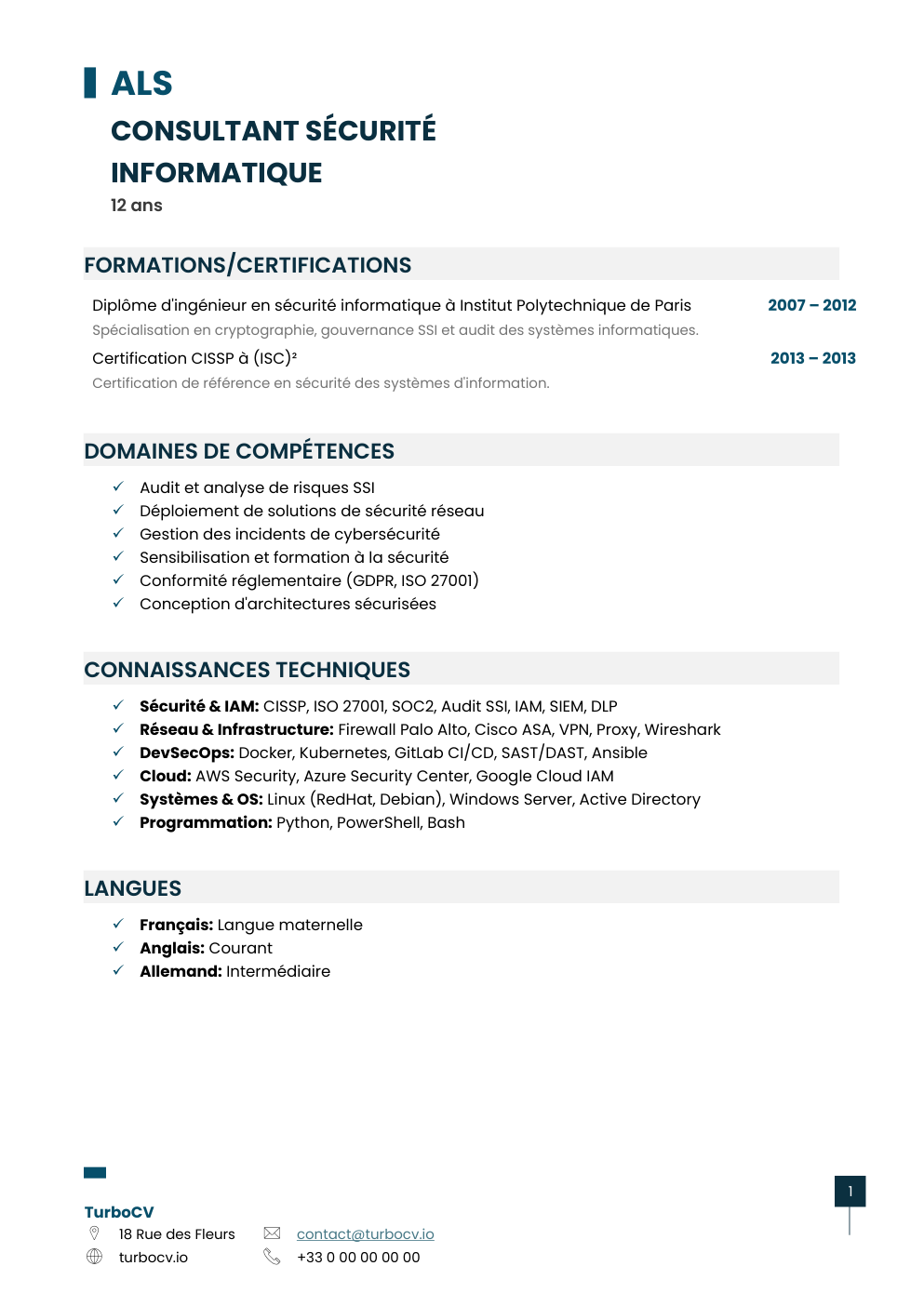 Aperçu du dossier de compétences consultant-securite-informatique-0.png