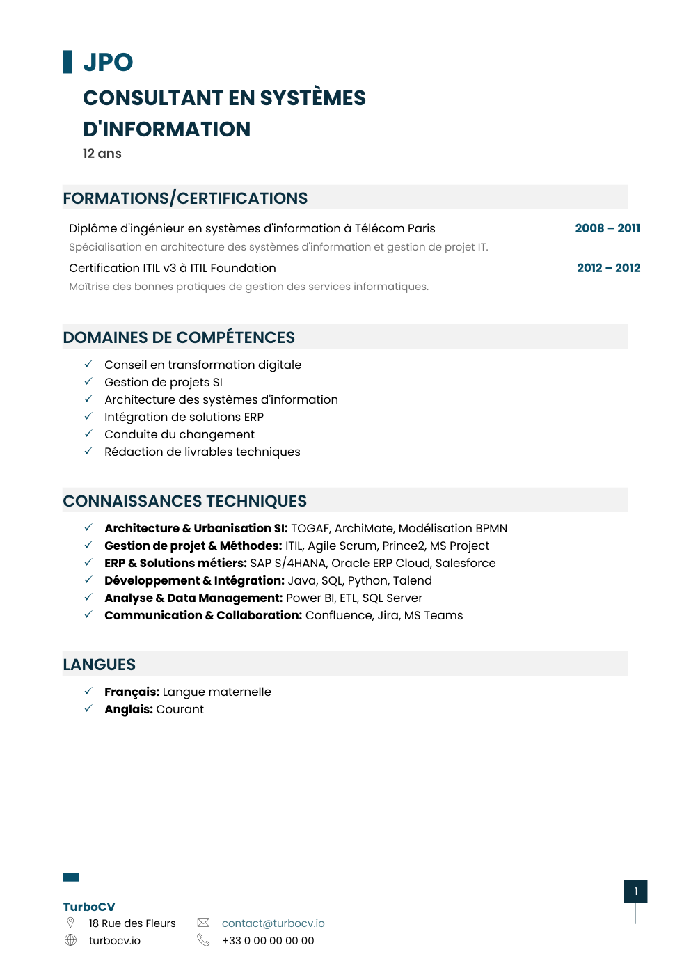 Aperçu du dossier de compétences consultant-systemes-information-0.png