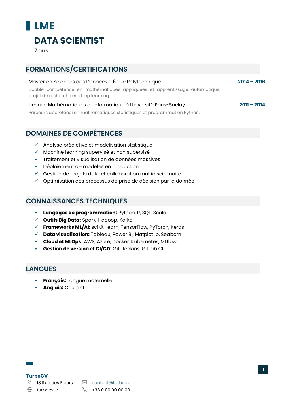 Aperçu du dossier de compétences data-scientist-0.png