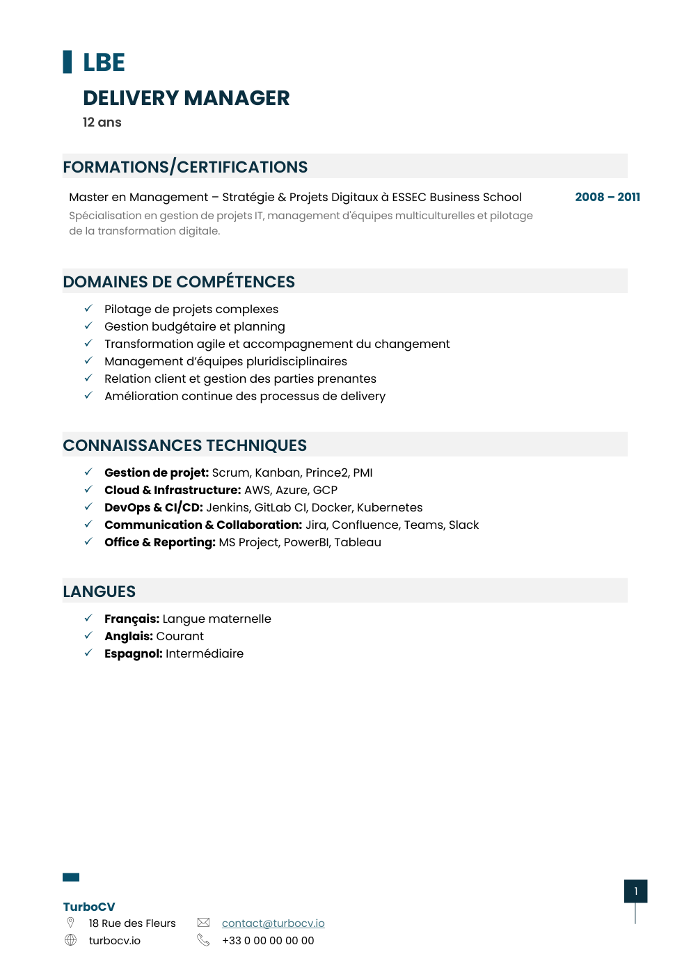 Aperçu du dossier de compétences delivery-manager-0.png