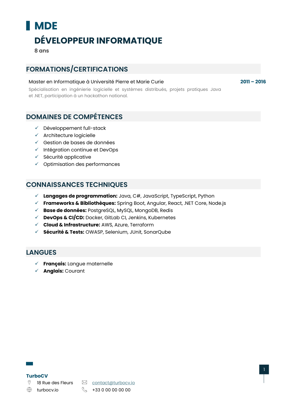 Aperçu du dossier de compétences developpeur-informatique-0.png