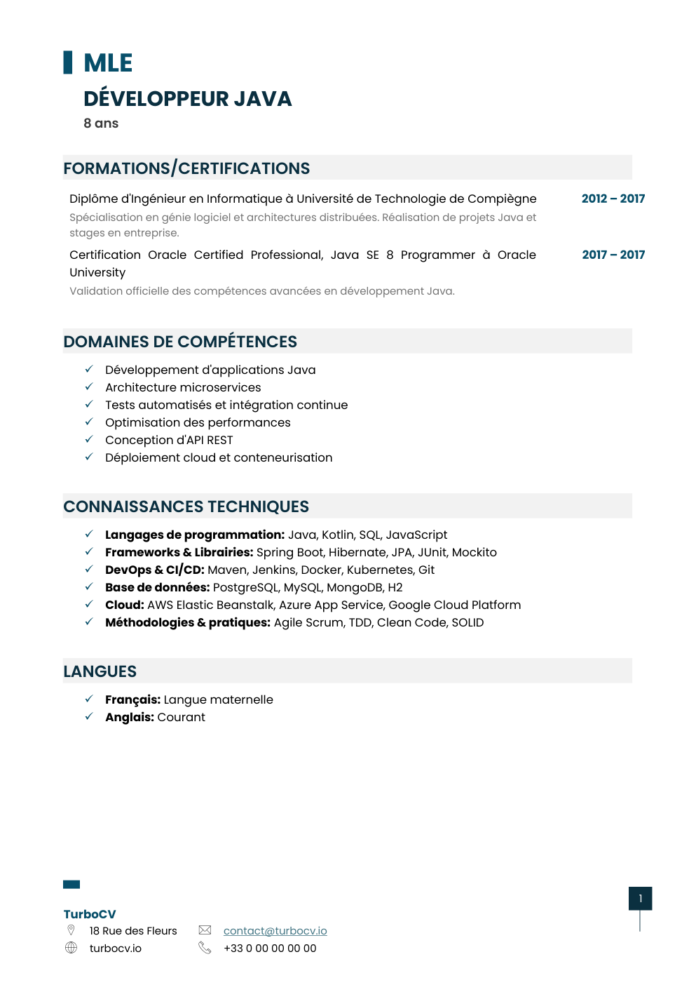 Aperçu du dossier de compétences developpeur-java-0.png