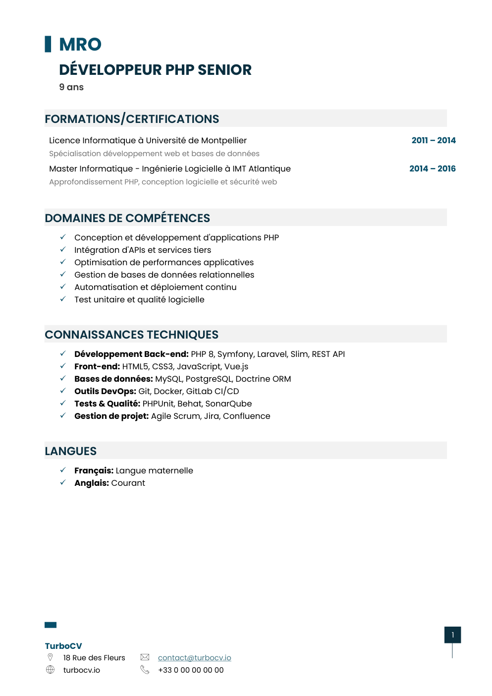 Aperçu du dossier de compétences developpeur-php-0.png