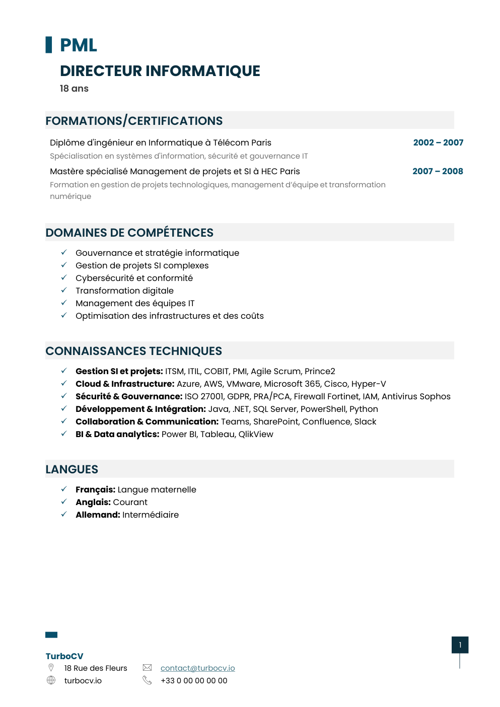 Aperçu du dossier de compétences directeur-informatique-0.png