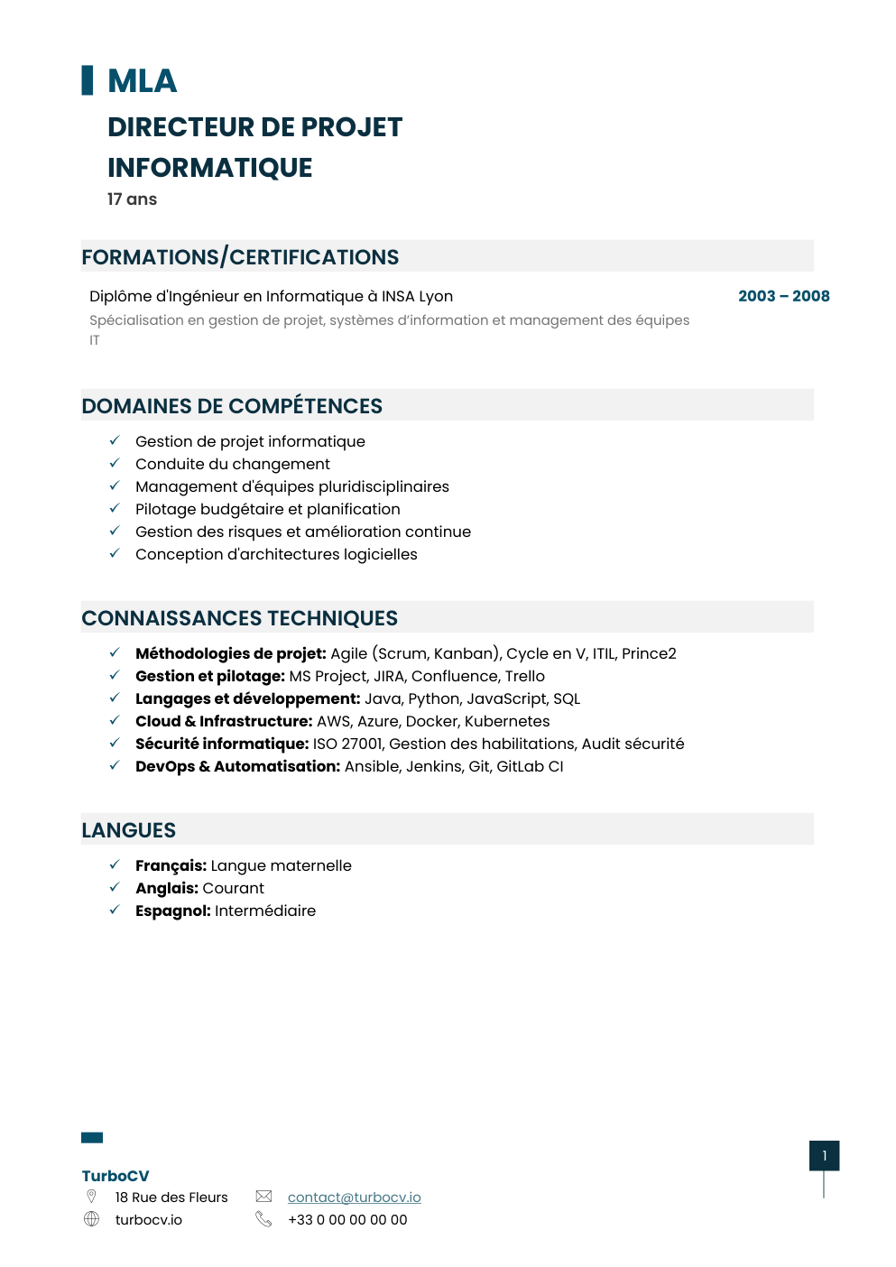 Aperçu du dossier de compétences directeur-projet-informatique-0.png