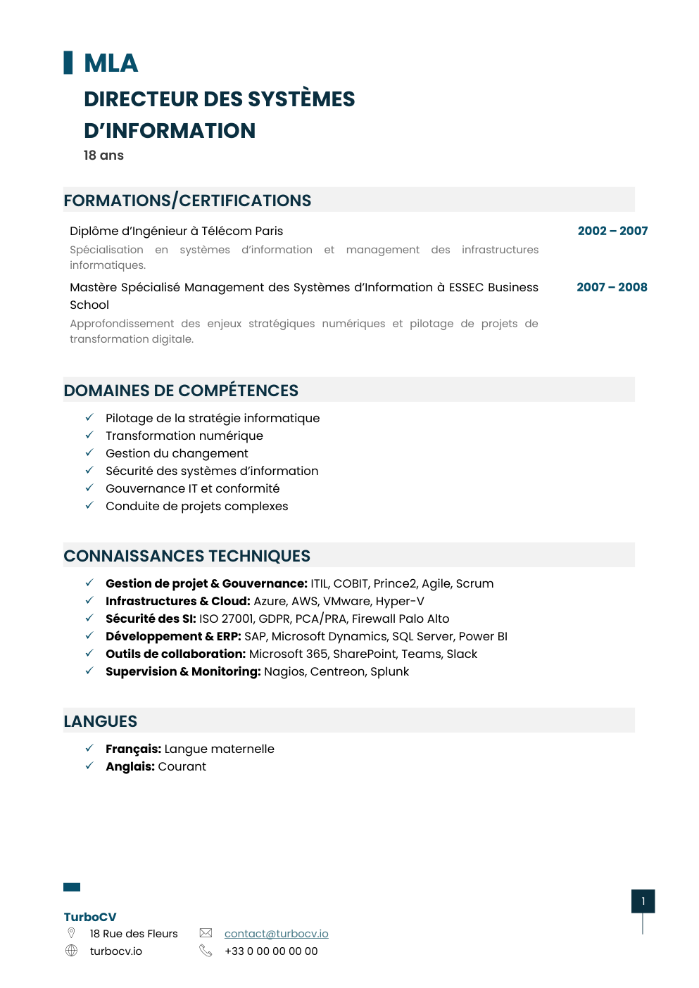 Aperçu du dossier de compétences dsi-0.png