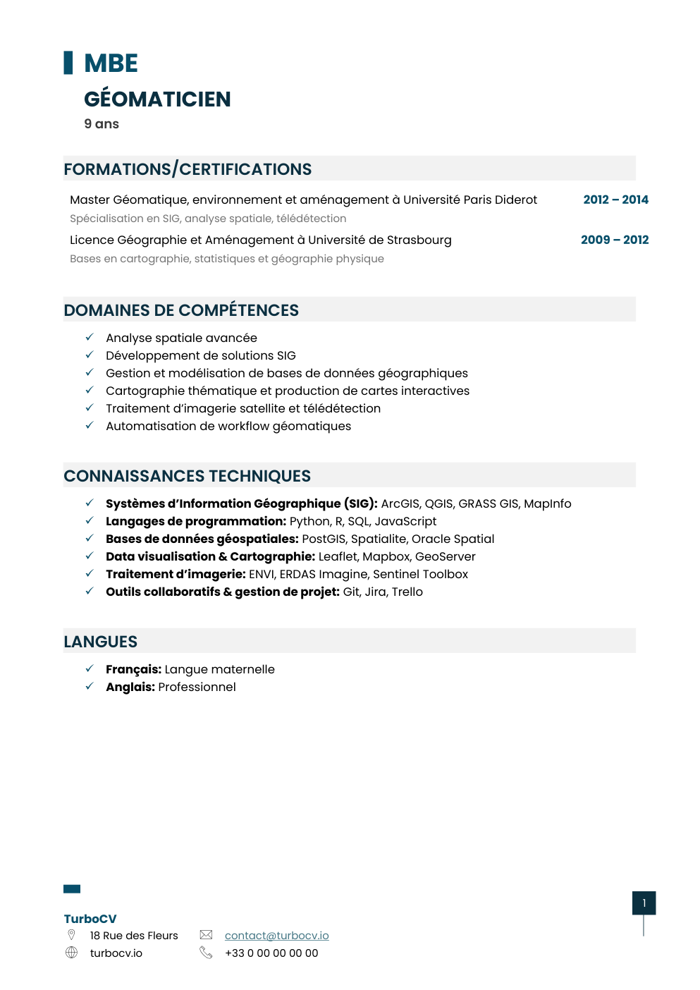 Aperçu du dossier de compétences geomaticien-0.png