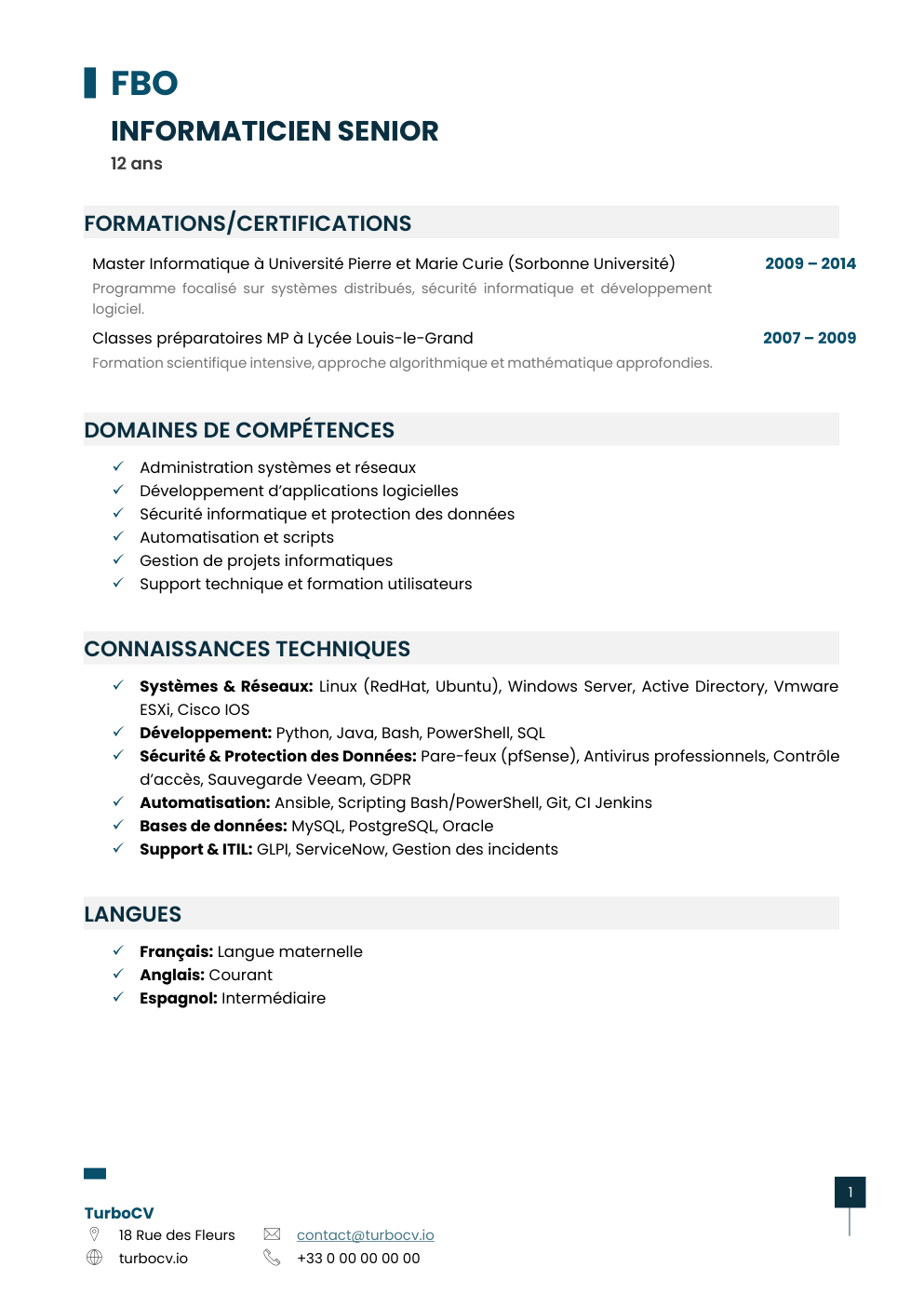 Aperçu du dossier de compétences informaticien-0.png