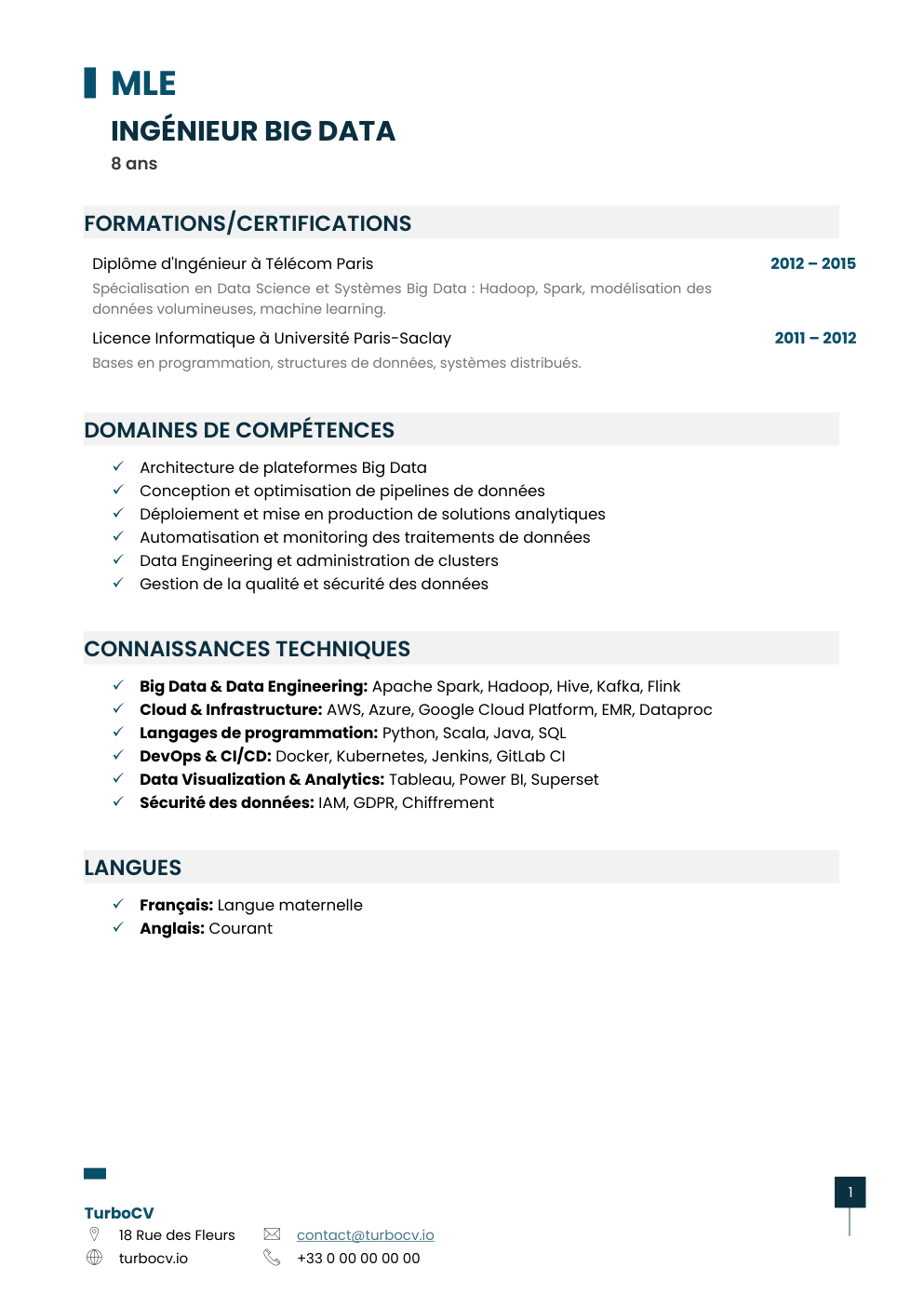 Aperçu du dossier de compétences ingenieur-big-data-0.png