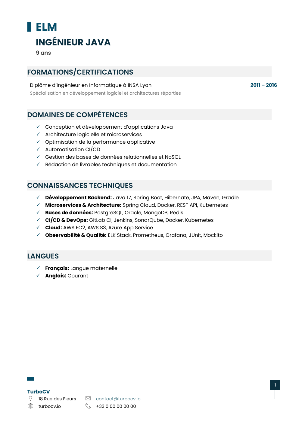Aperçu du dossier de compétences ingenieur-java-0.png