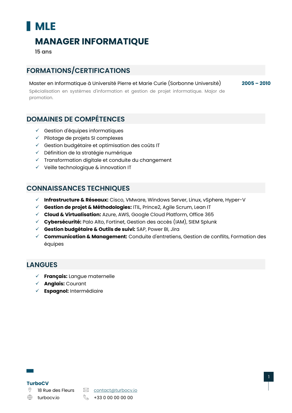 Aperçu du dossier de compétences manager-informatique-0.png