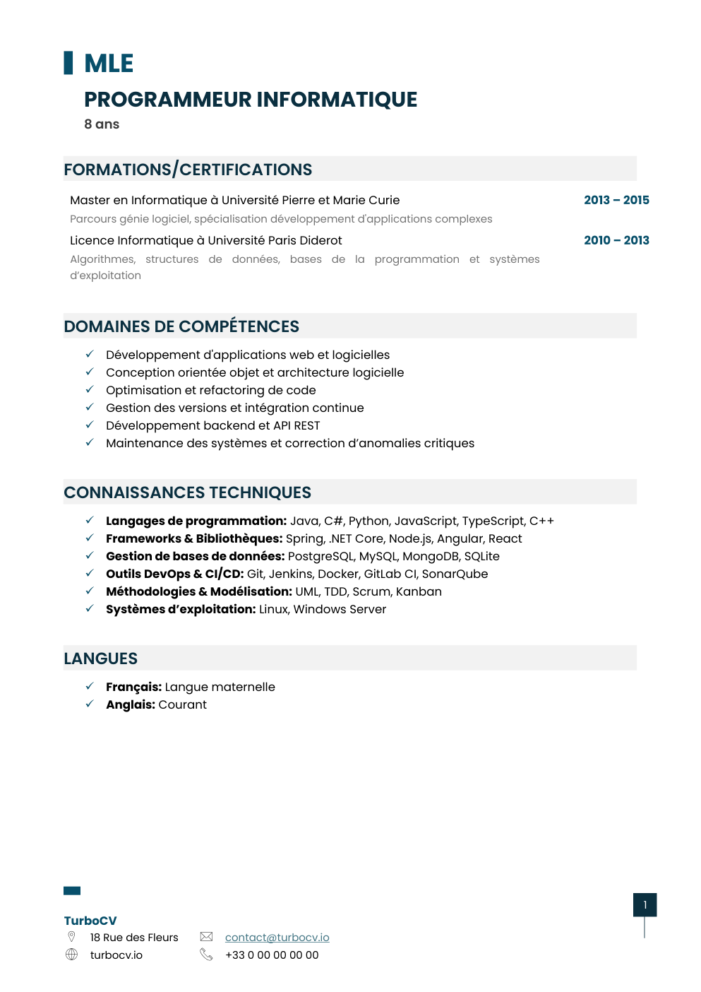 Aperçu du dossier de compétences programmeur-informatique-0.png