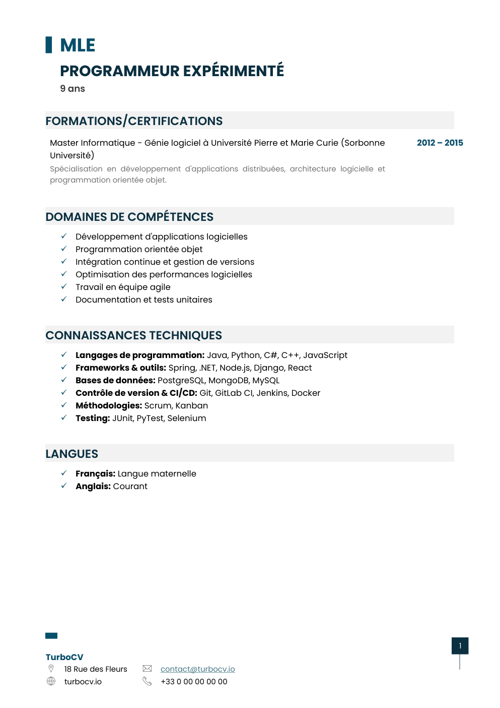 Aperçu du dossier de compétences programmeur-0.png