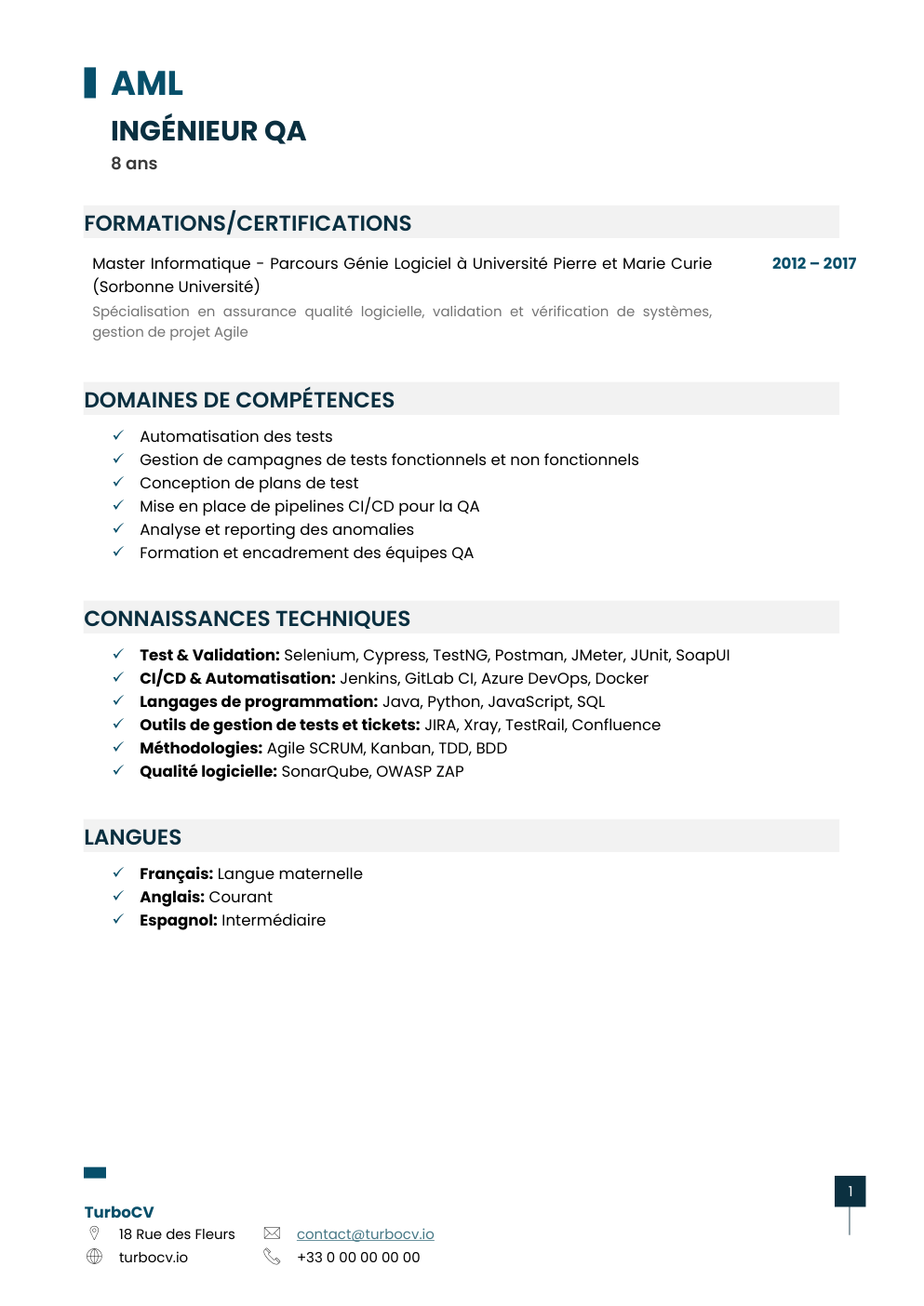 Aperçu du dossier de compétences qa-engineer-0.png