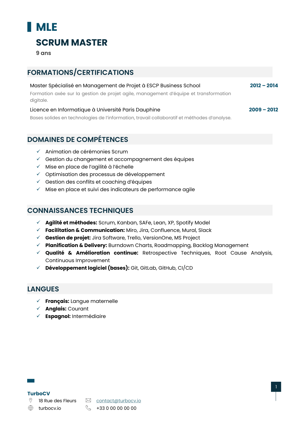 Aperçu du dossier de compétences scrum-master-0.png