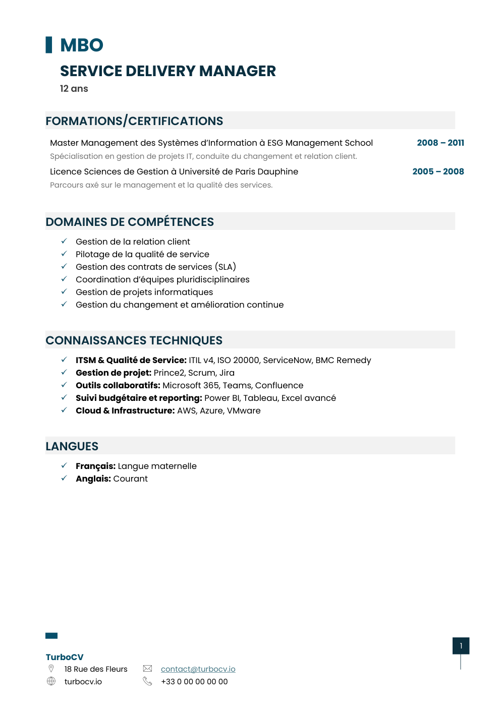 Aperçu du dossier de compétences service-delivery-manager-0.png