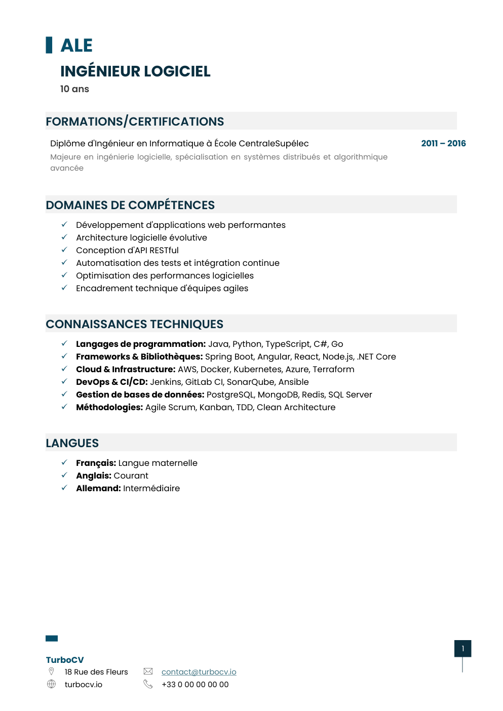 Aperçu du dossier de compétences software-engineer-0.png