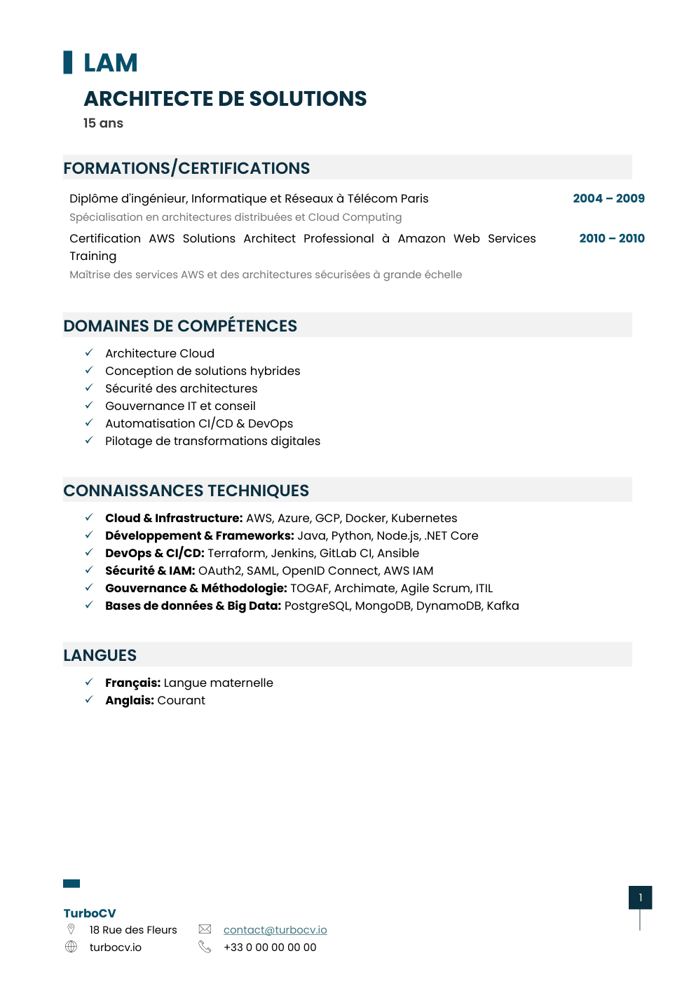 Aperçu du dossier de compétences solution-architect-0.png