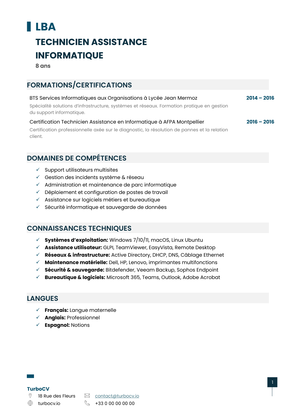 Aperçu du dossier de compétences technicien-assistance-informatique-0.png
