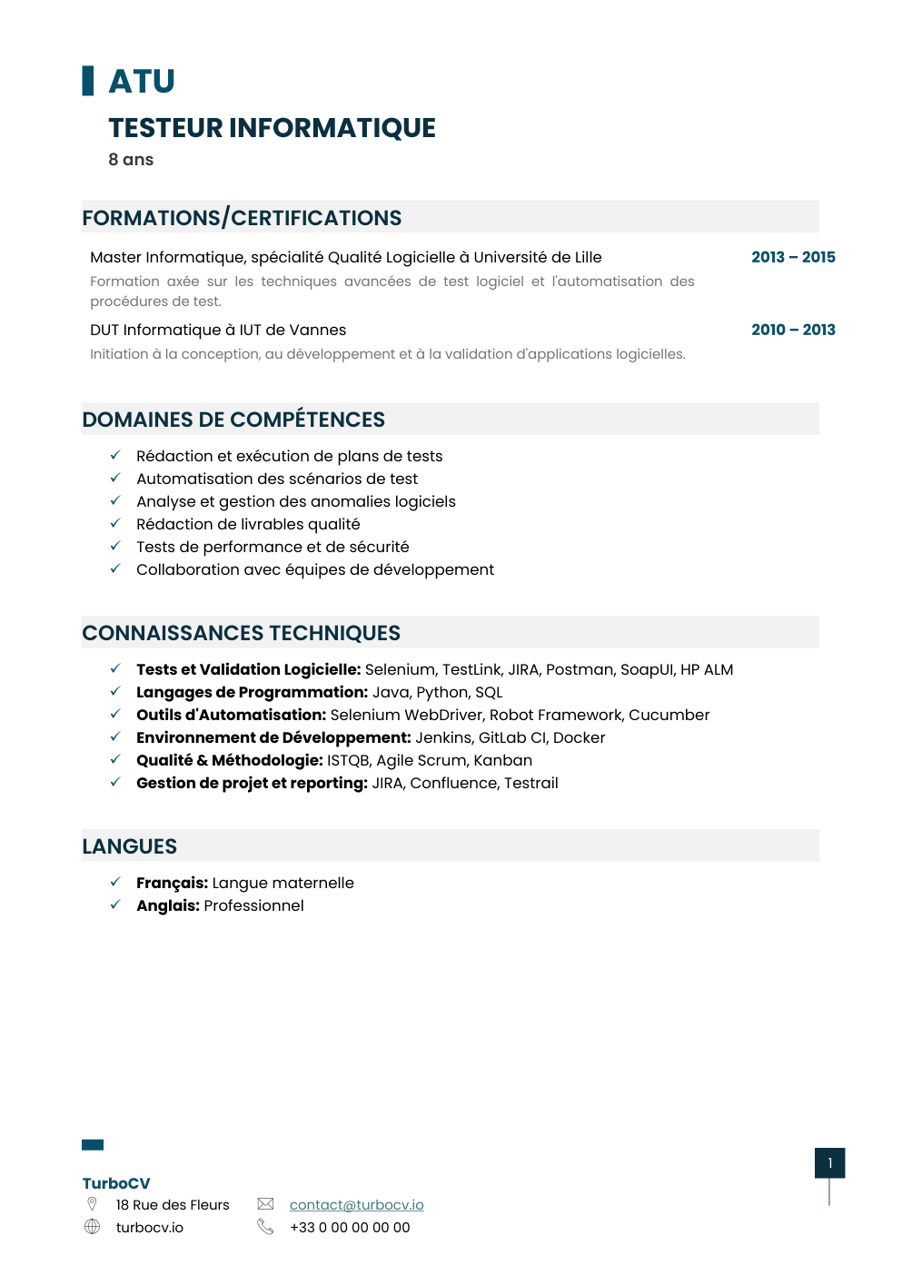 Aperçu du dossier de compétences testeur-informatique-0.png