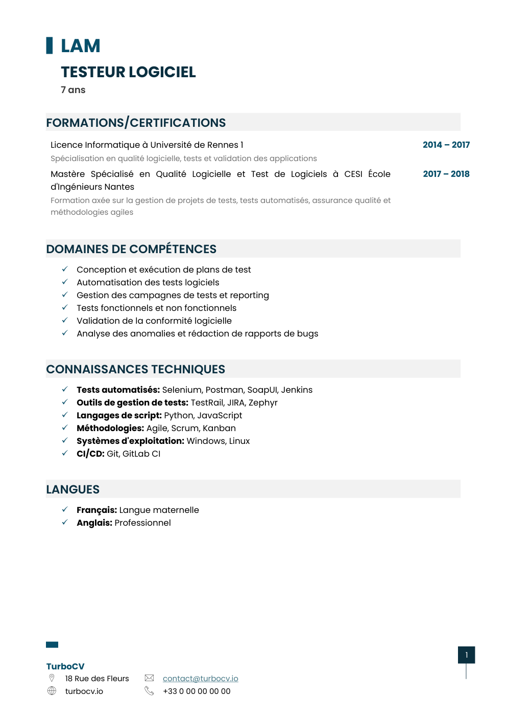 Aperçu du dossier de compétences testeur-logiciel-0.png