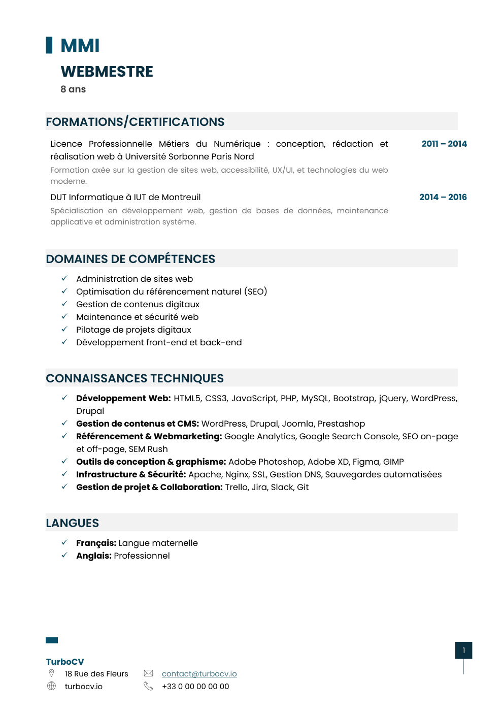 Aperçu du dossier de compétences webmaster-0.png