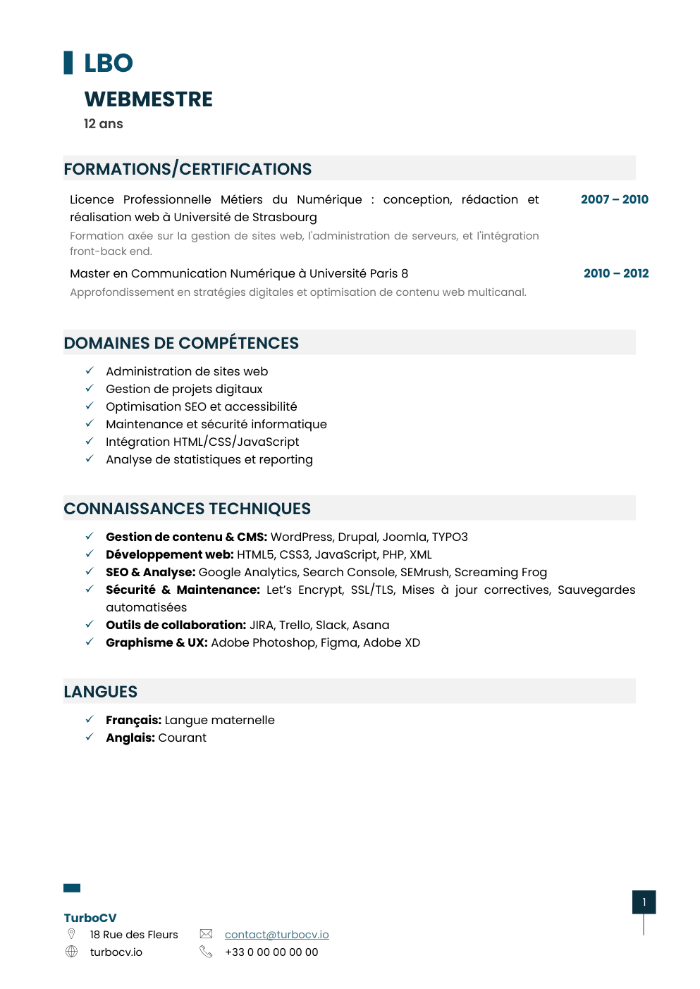 Aperçu du dossier de compétences webmestre-0.png